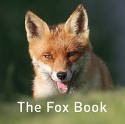 Cover image of book The Fox Book by Jane Russ