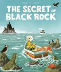 Cover image of book The Secret of Black Rock by Joe Todd-Stanton 