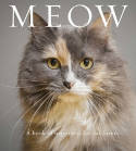 Cover image of book Meow: A Book of Happiness for Cat Lovers by Anouska Jones 